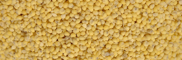 キビ種子抽出物配合のルルシアサプリ