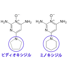 ピディオキシジルとミノキシジルの分子構造